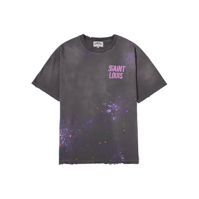 SSSAINT LOUIS T-Shirts Unisex Washed Gray