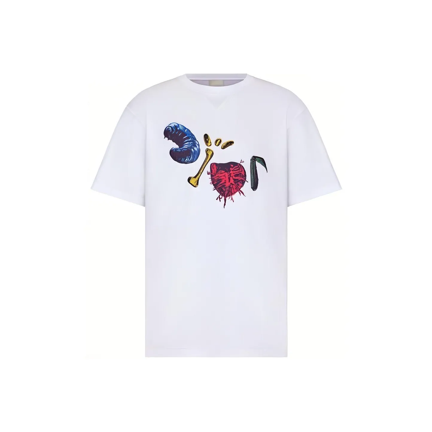 DIOR X Cactus Jack Oversized T Shirt