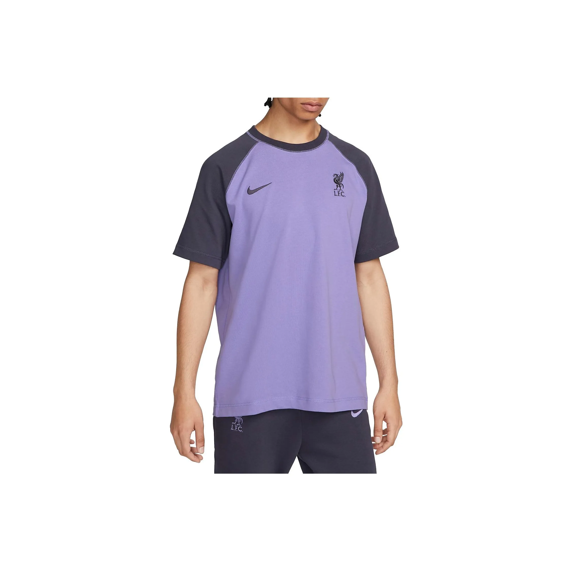 Nike Фиолетовый Мужской T-Shirt