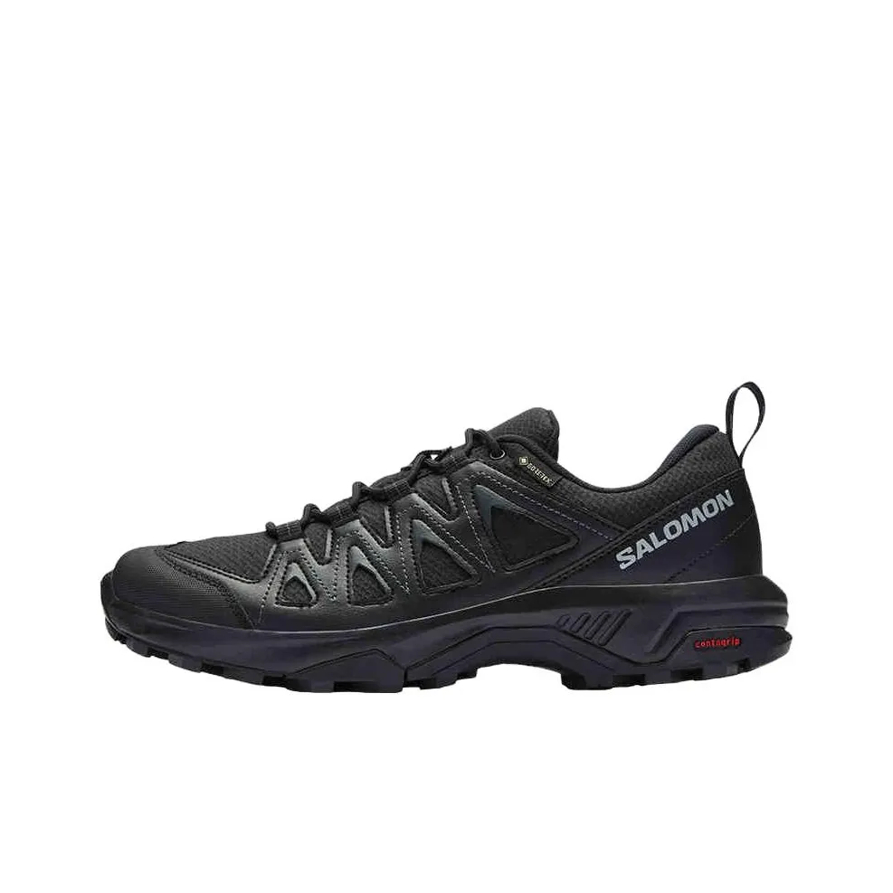 SALOMON X Braze Gtx / L00
