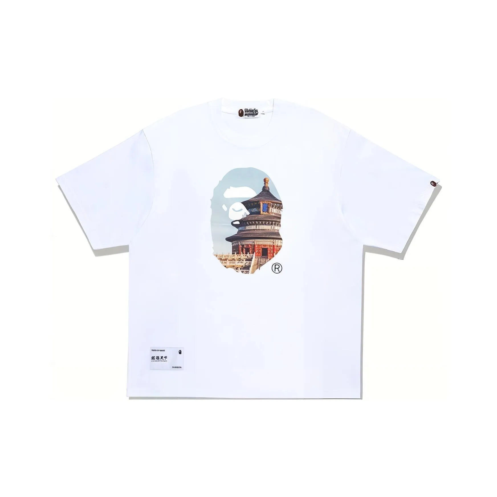 A BATHING APE Обезьяна Roams The World Collection FW23 T-Shirt Унисекс