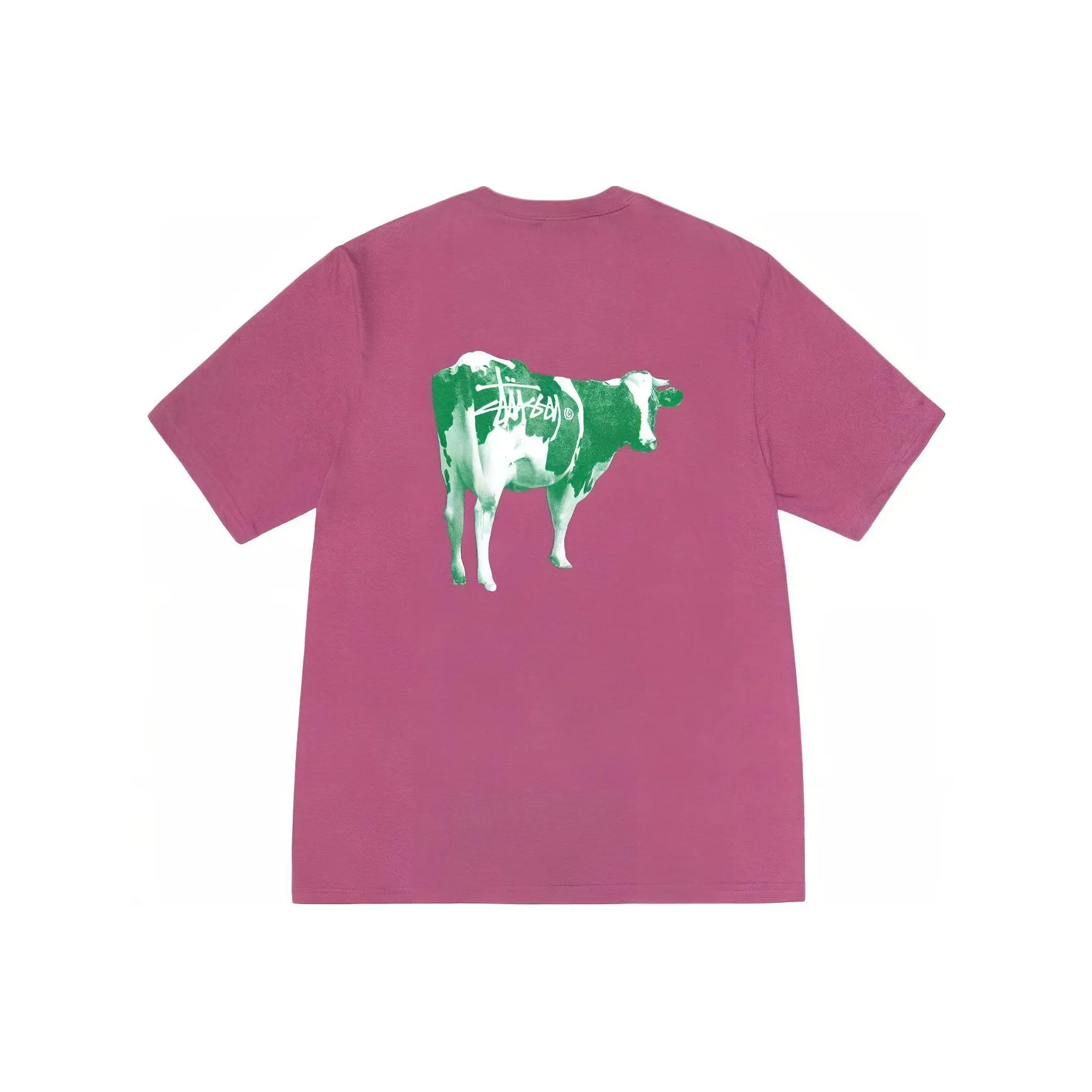 Stussy Grassfed T shirt