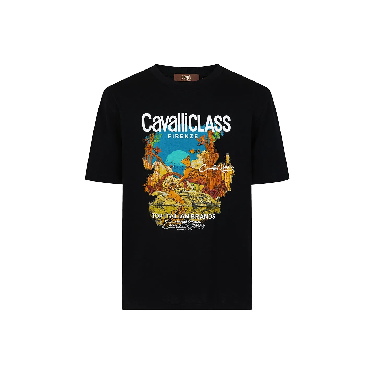 Cavalli Class Мужские T-рубашки