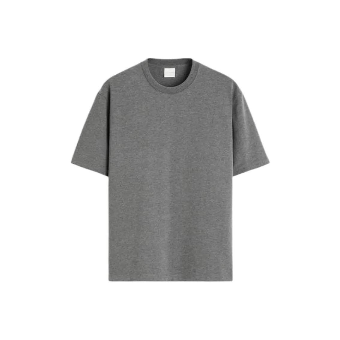 ZARA T Shirt Men's Zebra Print Gray
