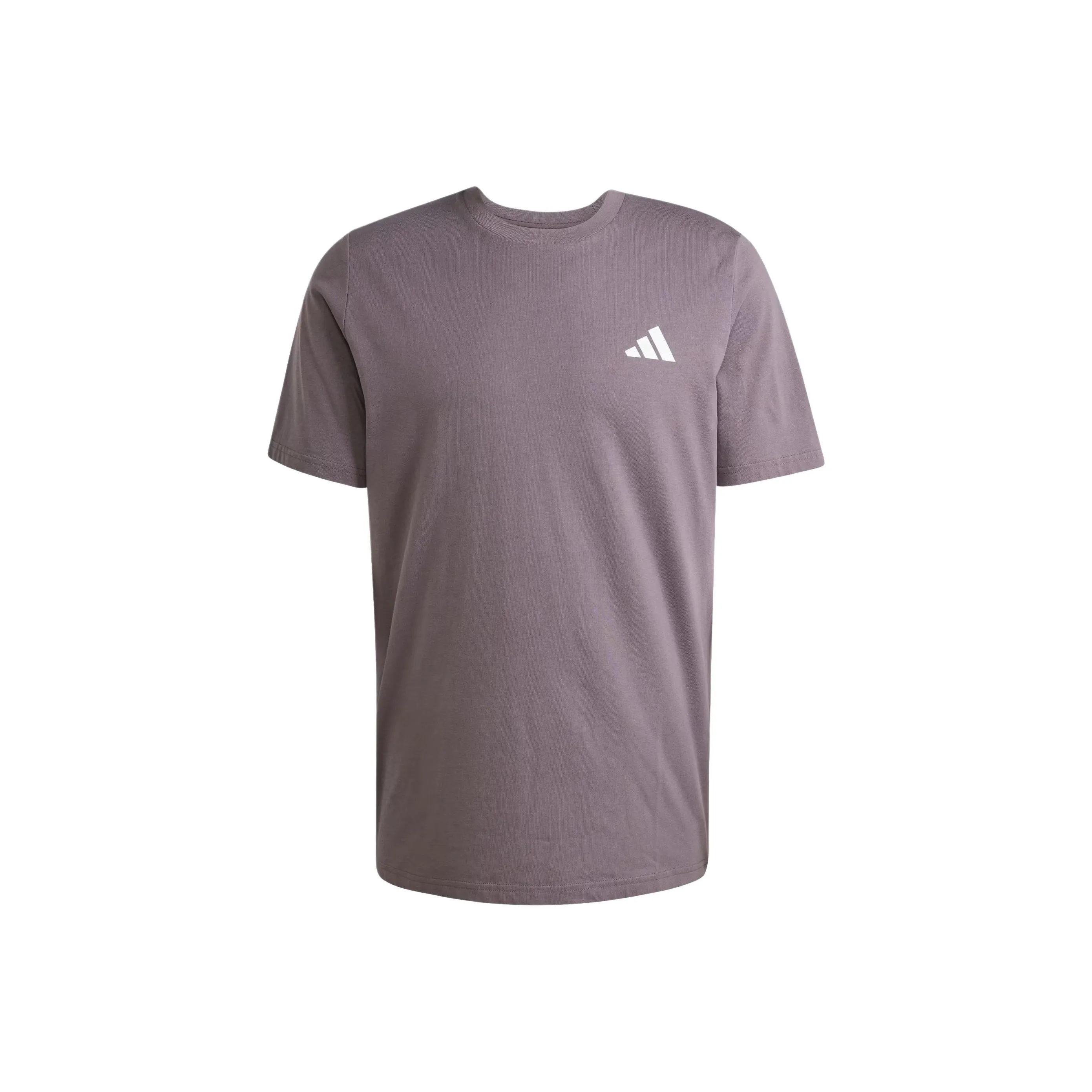 Adidas x MERCEDES AMG PETRONAS F1 TEAM SS25 Premium Woven Graphic T Shirt Men's Gray Stratum/Frozen Green