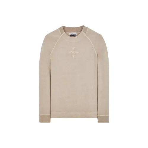STONE ISLAND Голубино-серый Мужские Свитшоты