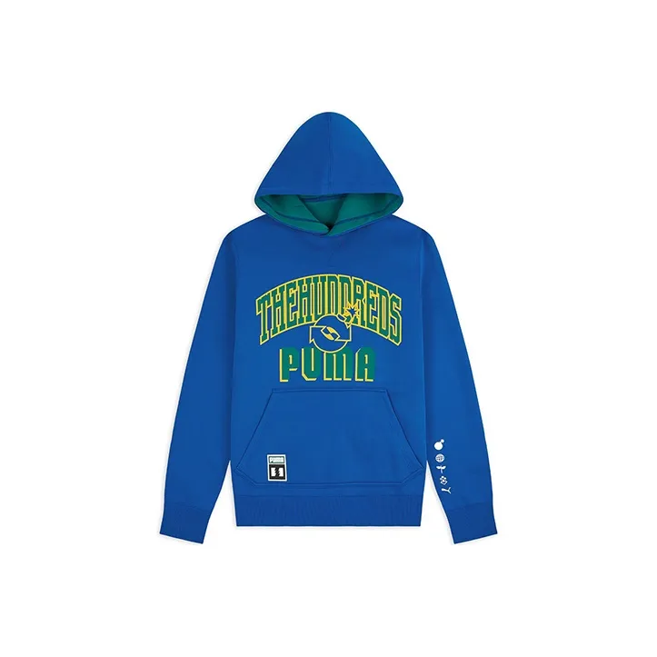 PUMA Бирюзовый Мужской Свитшот