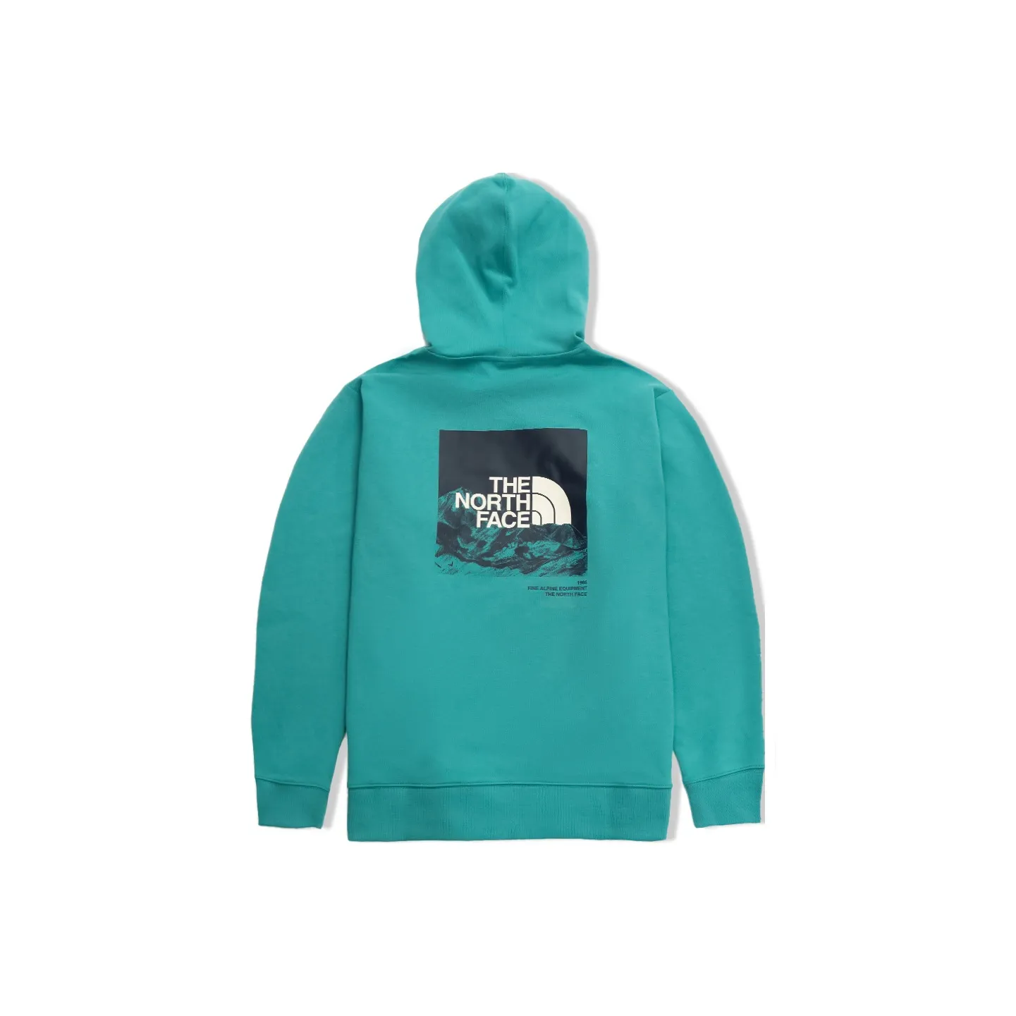 THE NORTH FACE SS22 Свитшот Унисекс Зеленый