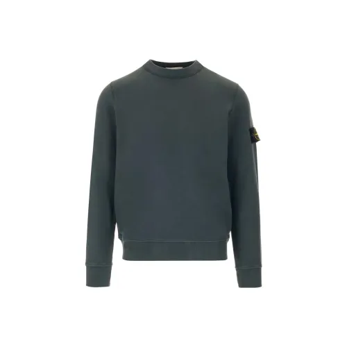 STONE ISLAND Серо-зеленый Мужские Свитшоты
