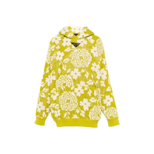 PRADA Fern Зеленый Мужские Свитшоты
