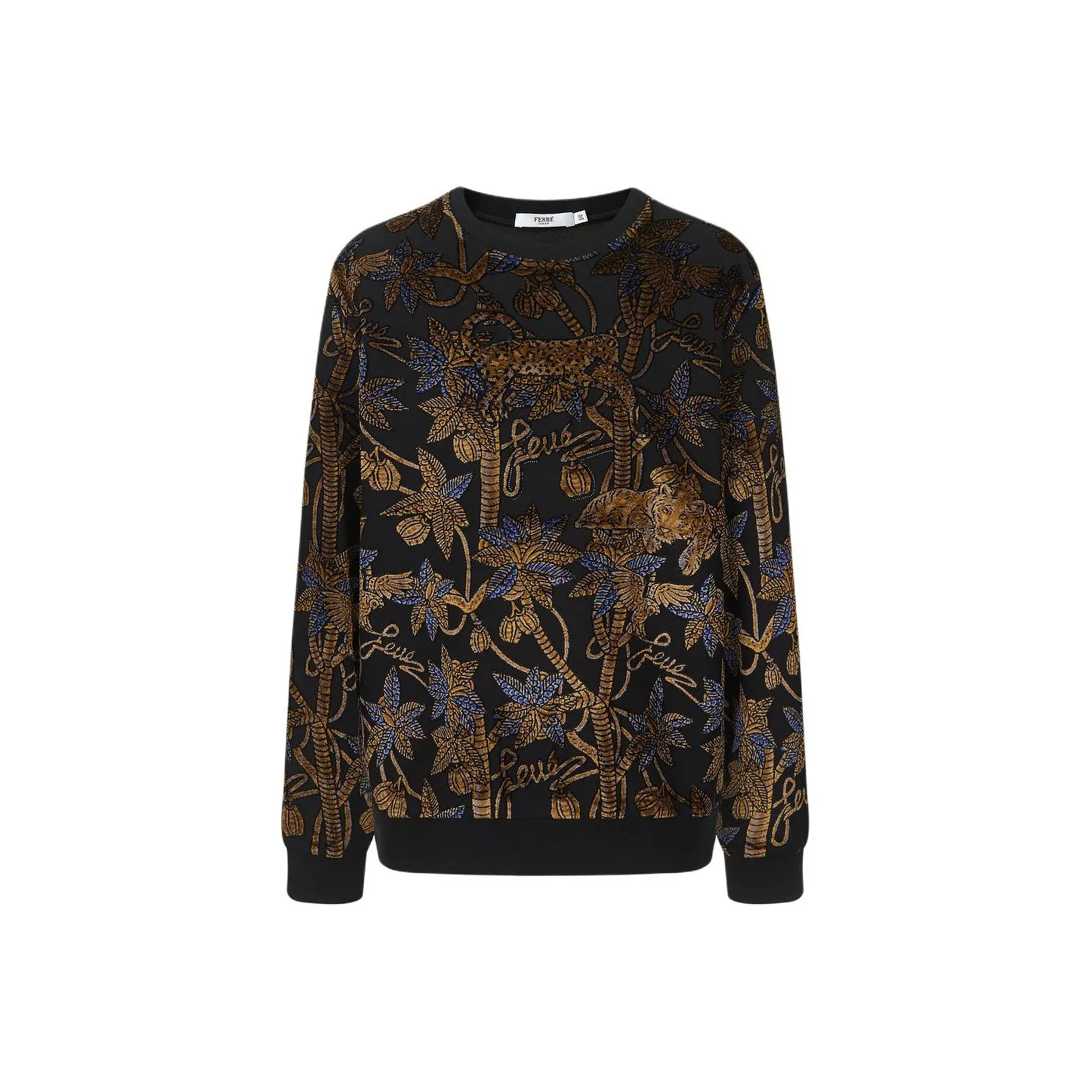 FERRE Sweatshirt Men's Brown With Print