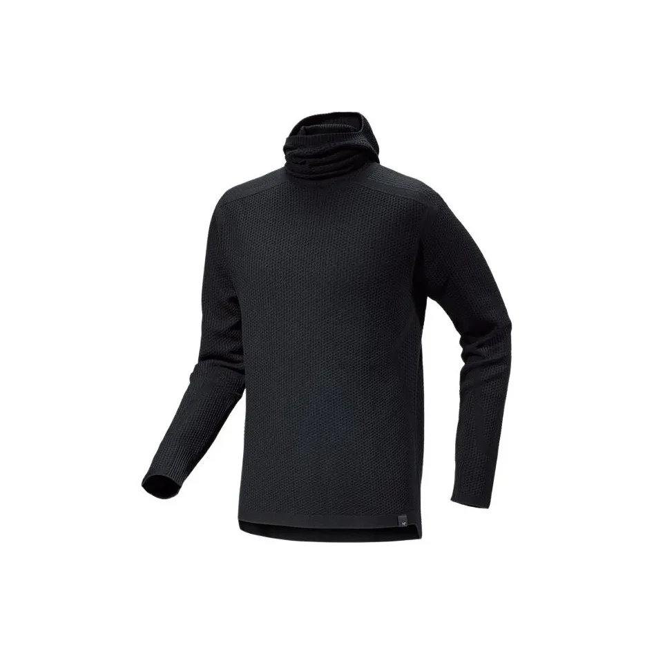Arcteryx HALLAM Merino Wool Hoody Sweatshirt Men's