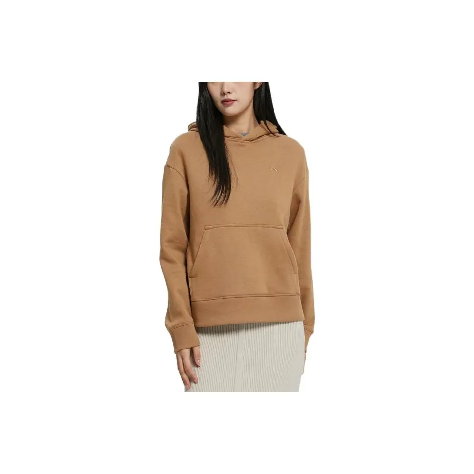 CALVIN KLEIN FW22 Sweatshirt Unisex Brown