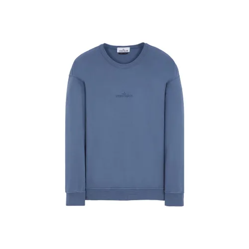 STONE ISLAND Шалфейно-зеленый Унисекс Свитшоты