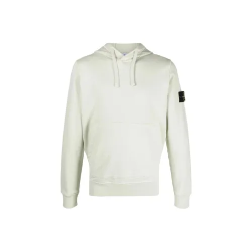 STONE ISLAND Зеленый Мужские Свитшоты