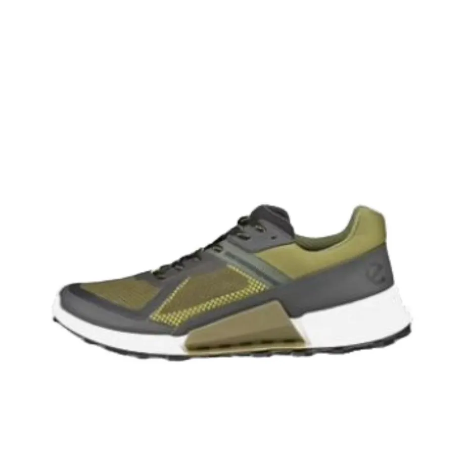 Ecco BIOM2,1 Mountain Низкие Кеды для Альпинизма и Trekking Мужские Зеленые