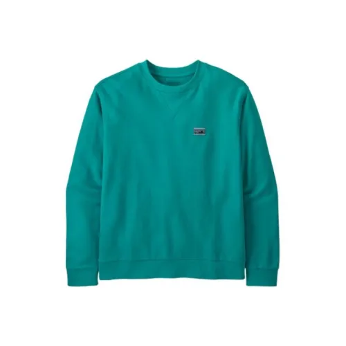 patagonia Мужские Свитшоты