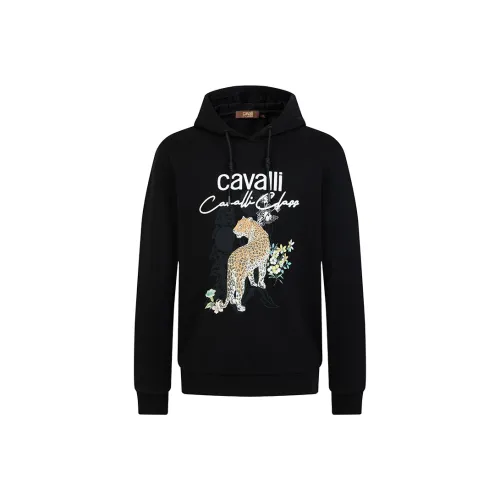 Cavalli Class Черный Мужские Свитшоты