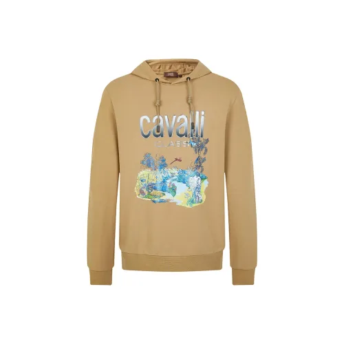Cavalli Class Верблюжий Мужские Свитшоты