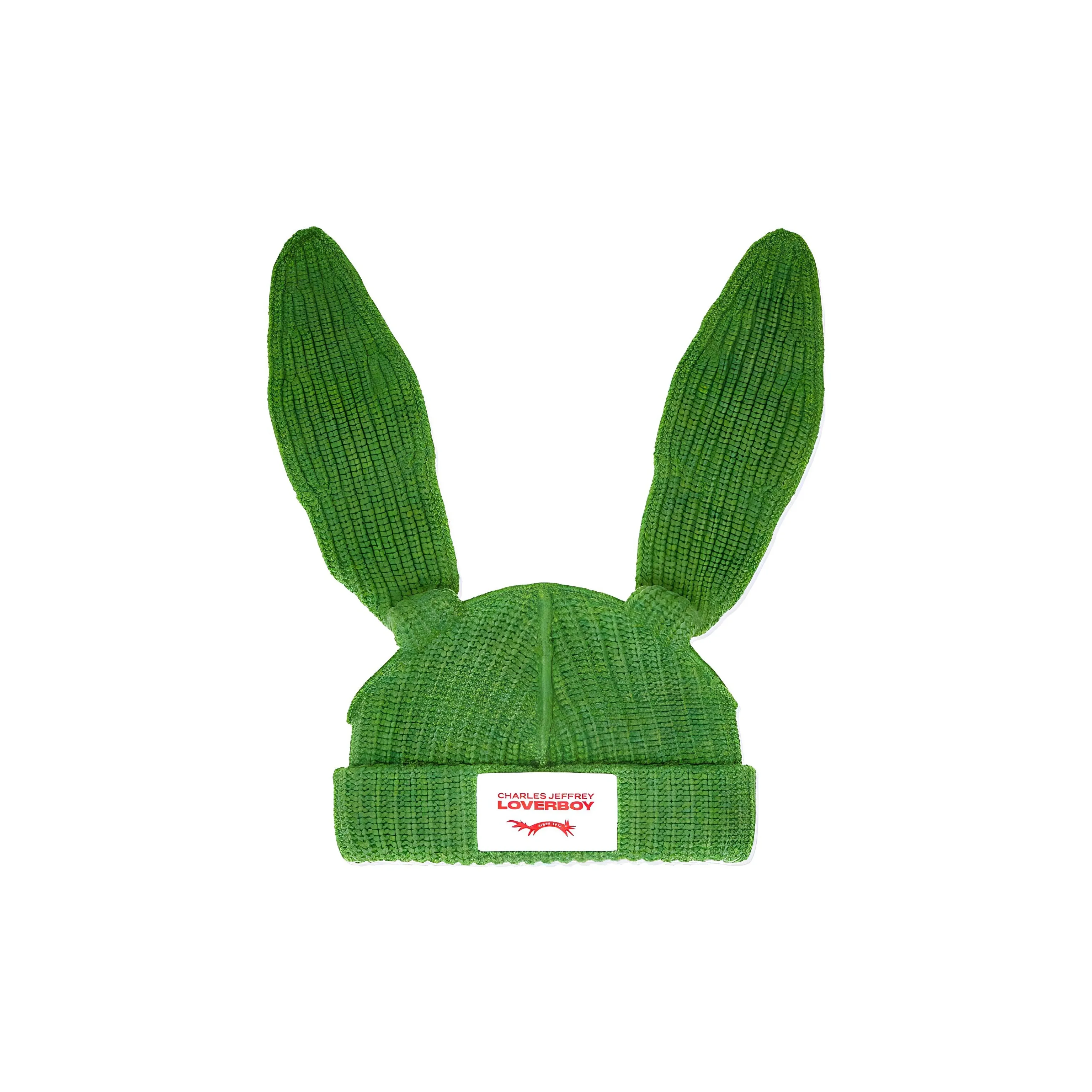 CHARLES JEFFREY Овечья шерсть Шапки-бини Мужской Зеленый