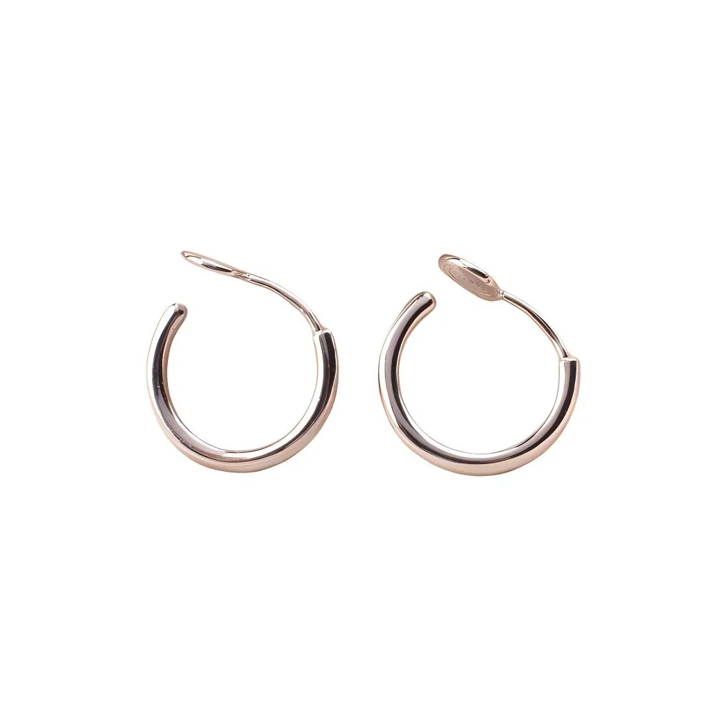 Vegetarian 925 Sterling Silver Needle Earrings Women's