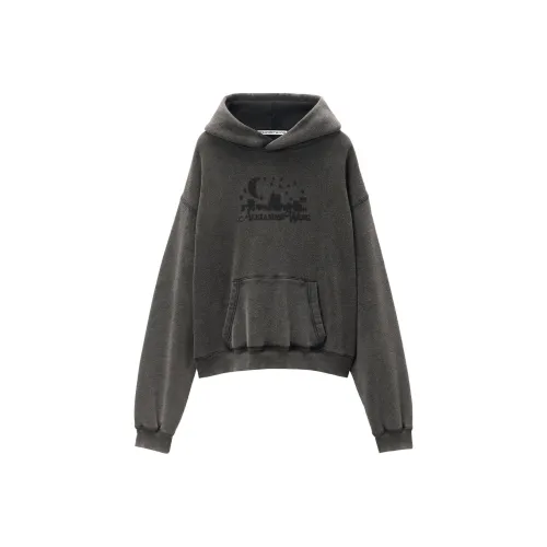 alexander wang Угольно-серый Унисекс Свитшоты