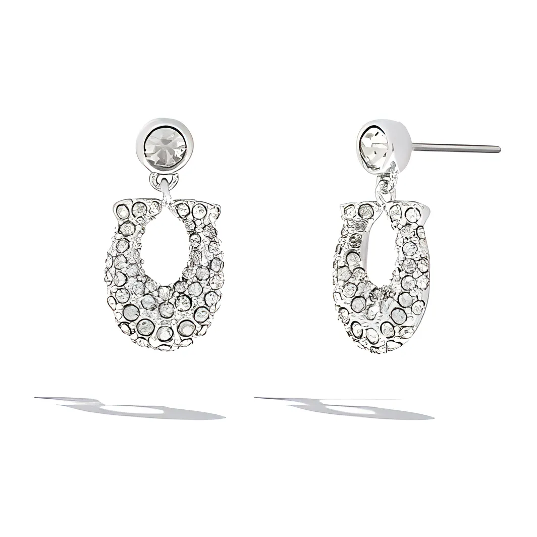 COACH Медные серьги Женское серебро