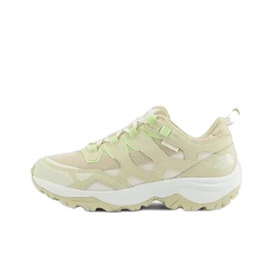 THE NORTH FACE Hedgehog Series Waterproof And Wear-resistant Low-Top Hiking Shoes Women's Brown