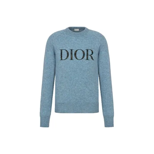 Dior Quarterly New Products Синий Мужские Свитеры