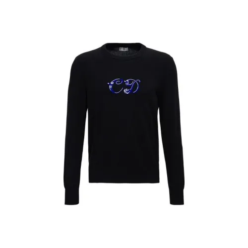 Dior Quarterly New Products Черный Мужские Свитеры