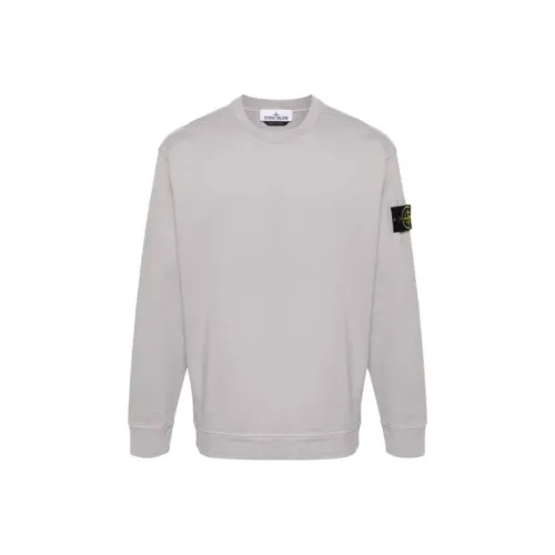 STONE ISLAND Светло-серый Мужские Свитшоты