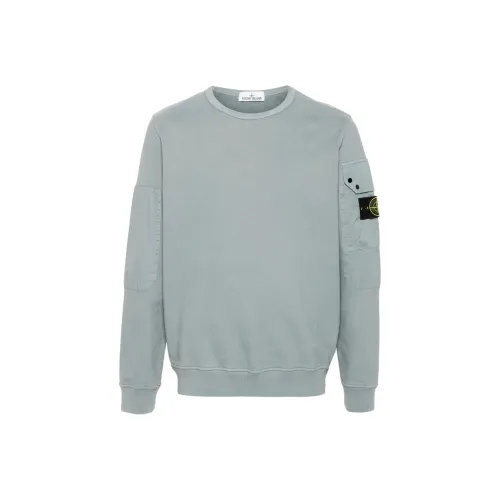 Stone Island Шалфейно-зеленый Унисекс Толстовки