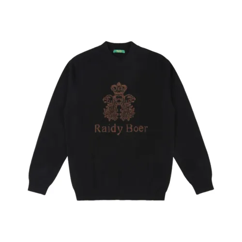 Raidy Boer Мужские Свитеры