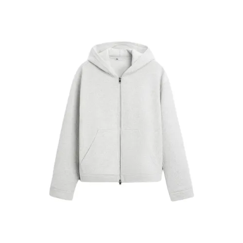 ZARA Зебровый принт Серый Мужские Свитшоты