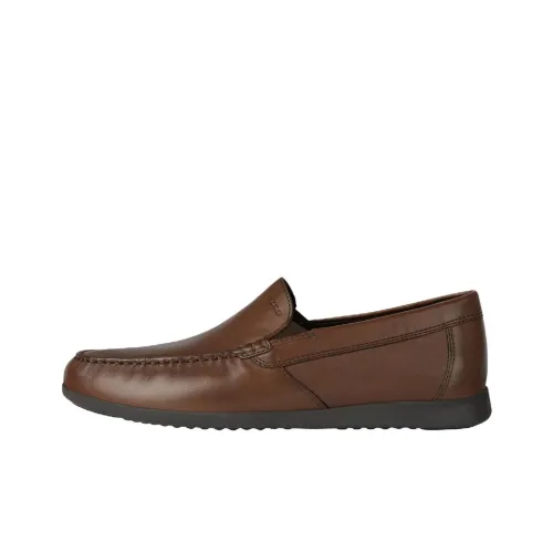 GEOX Мужские повседневные туфли Low Top Коричневый Мужские