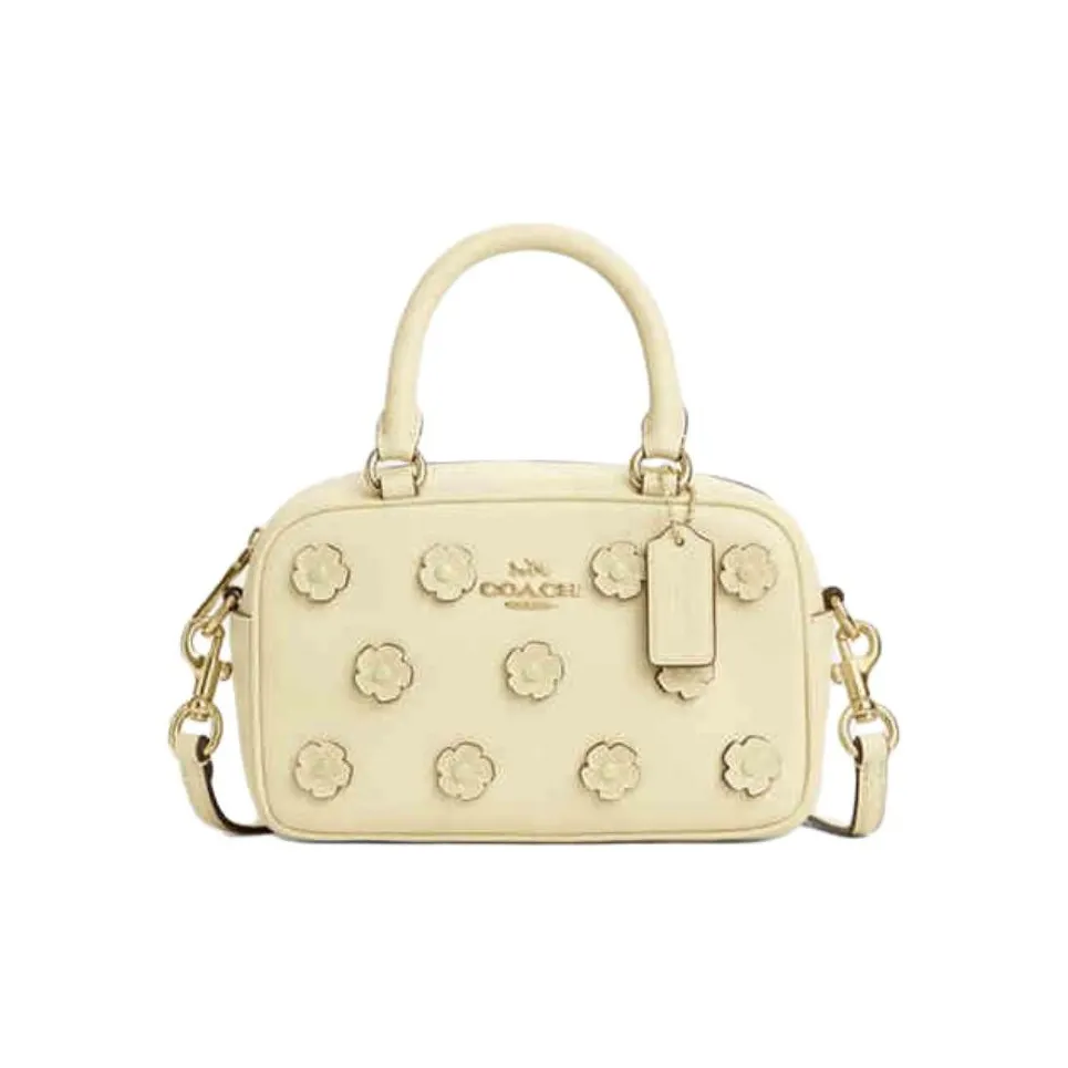 COACH SATCHEL Коровья кожа Сумка через плечо Сумка Маленькая Женская Луна