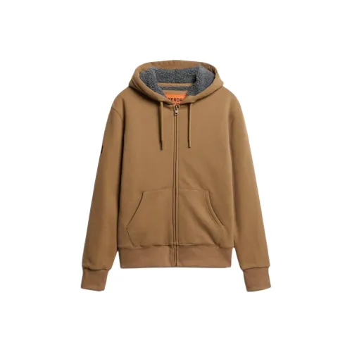 SUPERDRY Мужские свитшоты карамельно-коричневого цвета