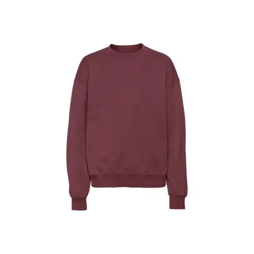 Colorful Standard Фиолетовый Мужские Свитшоты