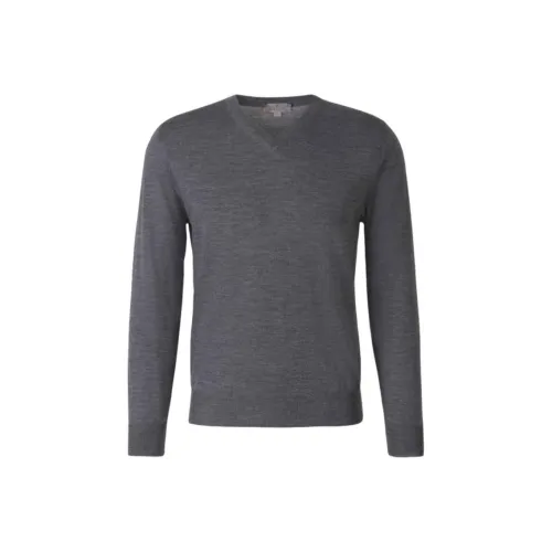 Canali Серый Мужские Свитеры