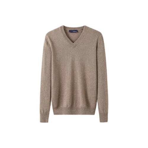 LARDINI Кофе Мужские Свитеры