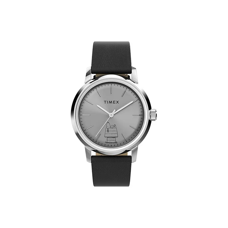 TIMEX Men's Watch