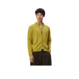 머스터드 옐로우