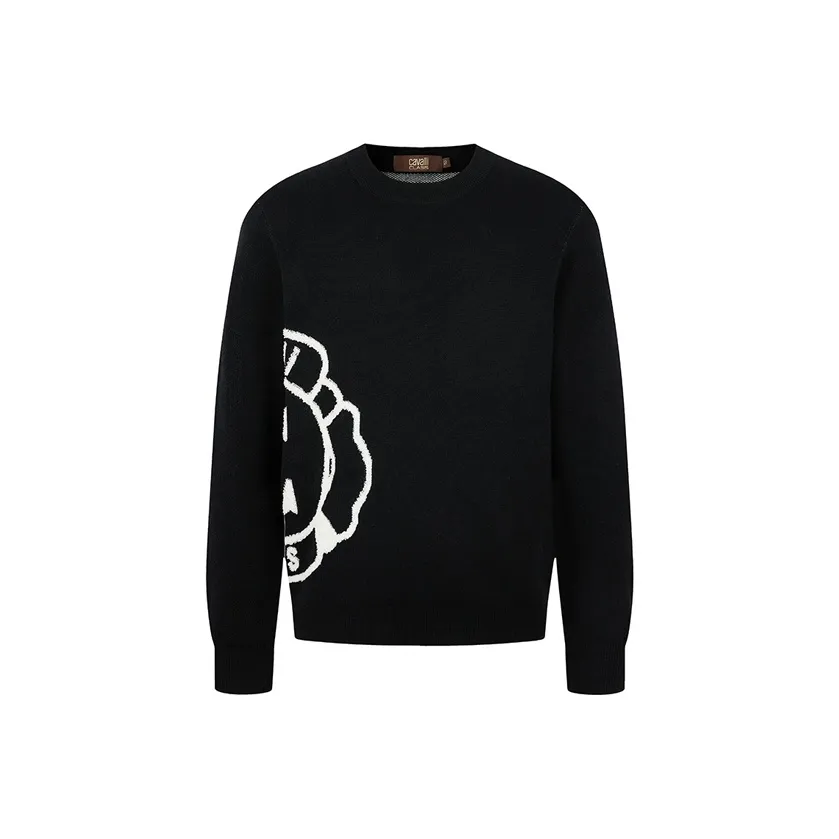 Cavalli Class Кашемировый свитер мужской