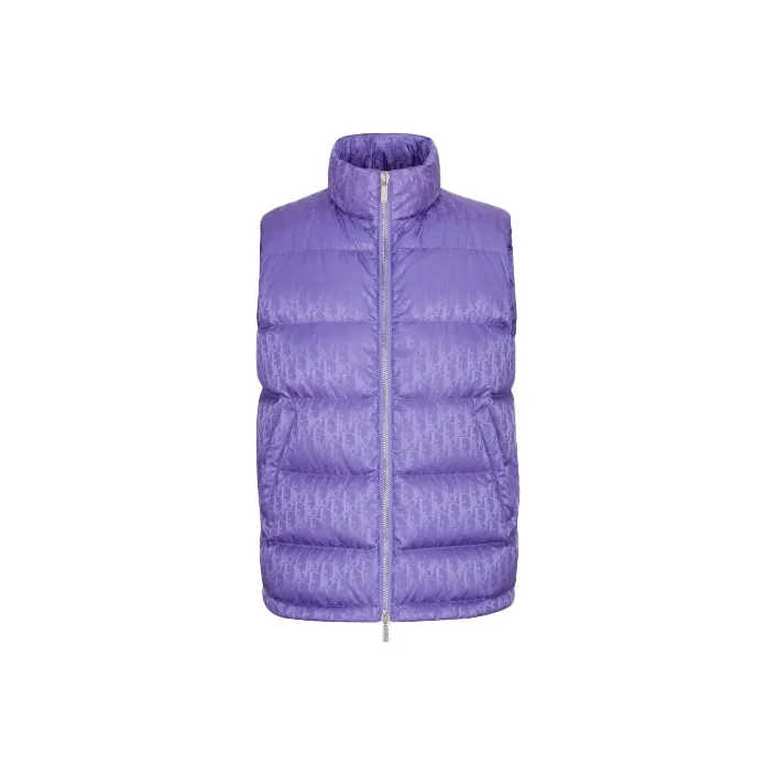 DIOR Dior Quarterly New Products Vest Men's Purple