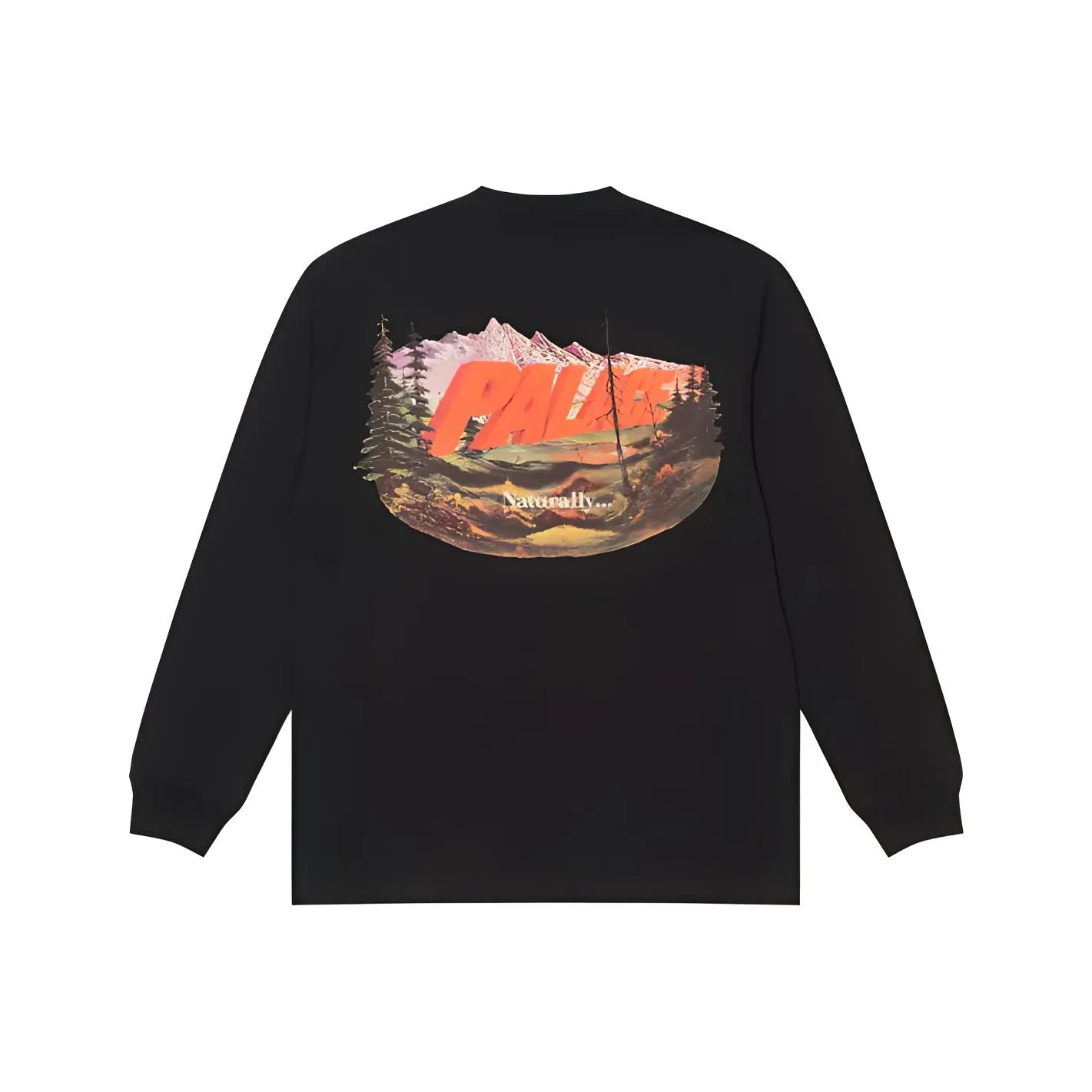 PALACE Chapping Longsleeve