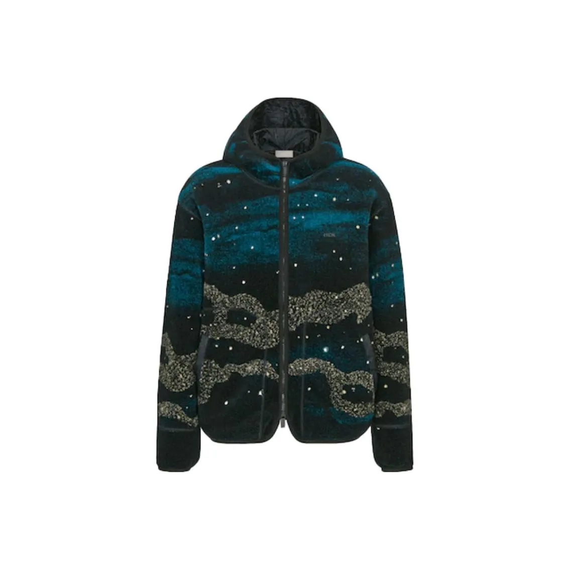 DIOR X Peter Doig Zipped Hooded Blouson
