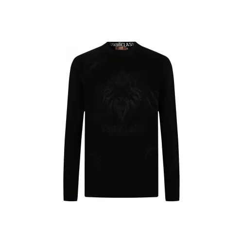 Cavalli Class Мужские Свитеры