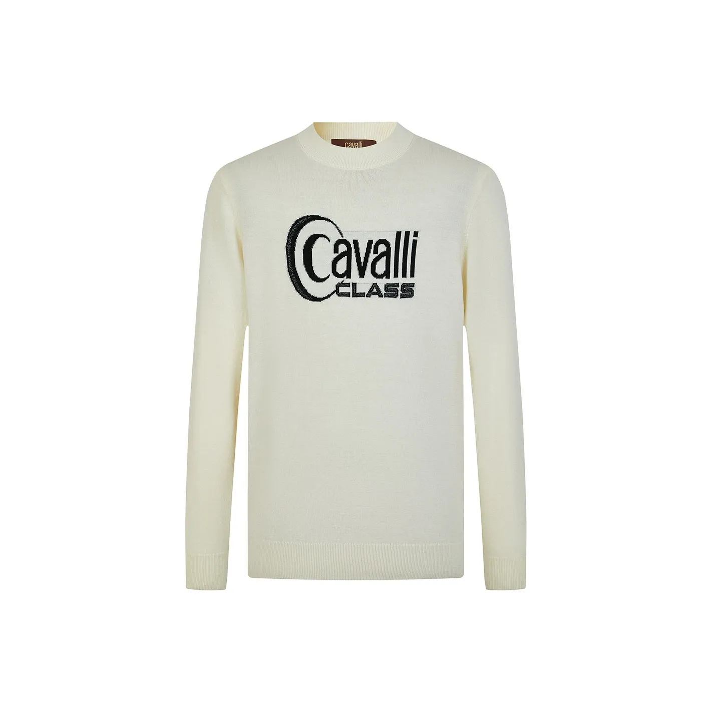 Cavalli Class Мужские Свитера