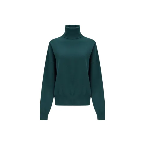 Extreme Cashmere Зеленый Унисекс Свитеры