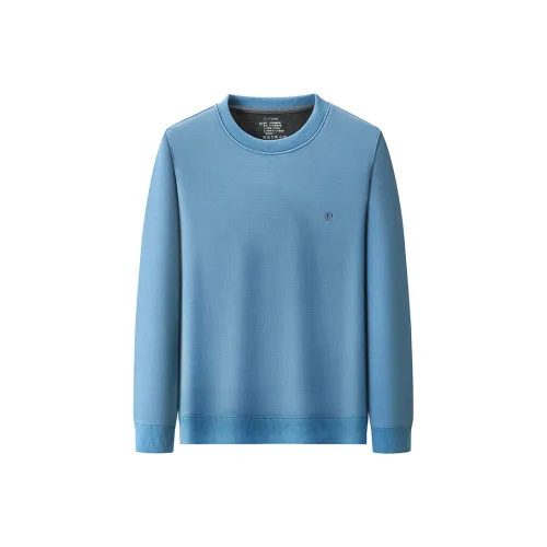 PIERRE CARDIN Мужские свитеры